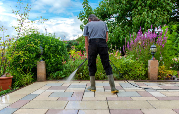 Professional  Pressure Washing Services in Imlay City, MI